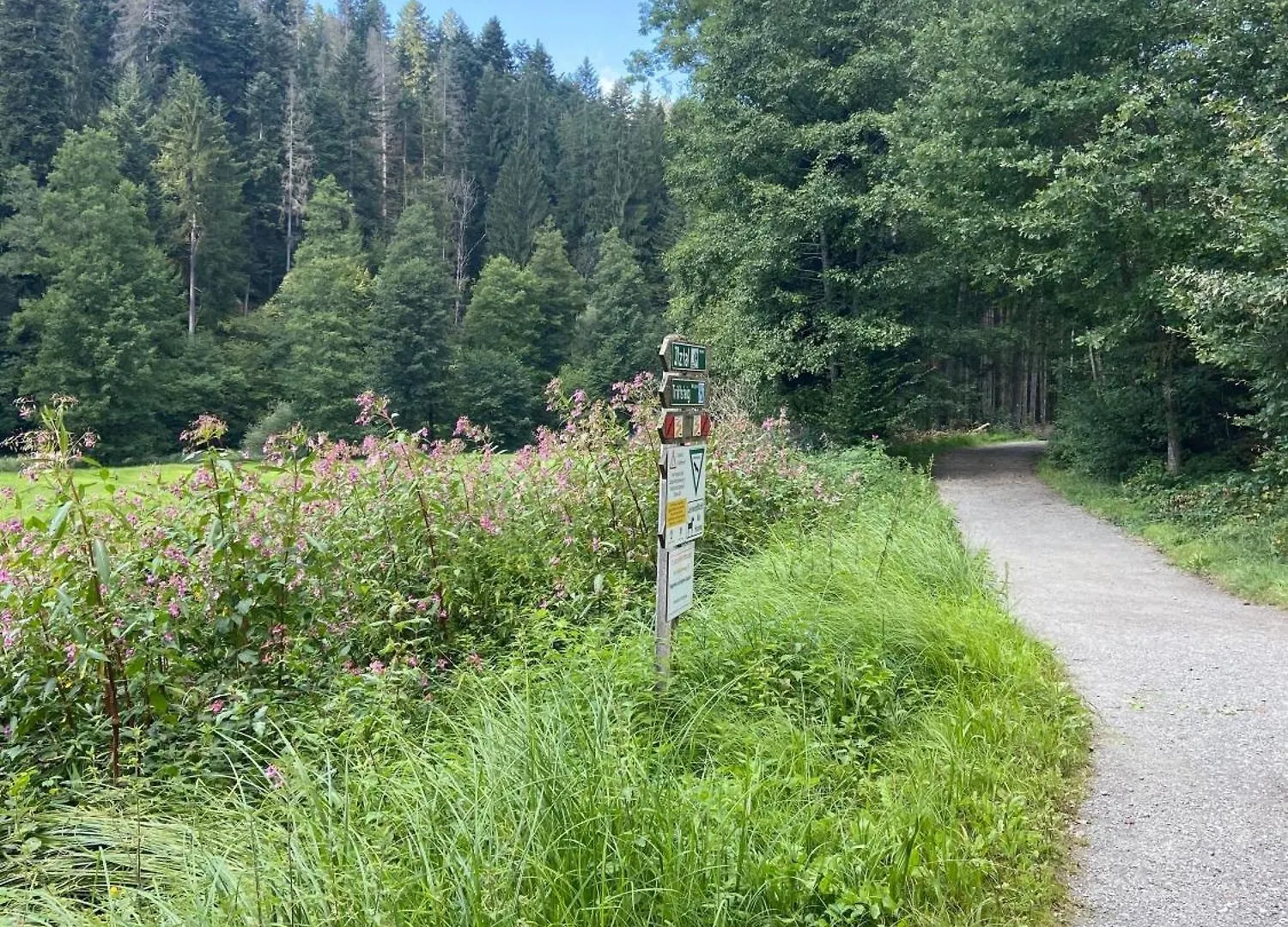5 Sterne Ferienwohnung Alpenblick Nur Fuer Urlaubsgaeste Fursteneck Apartment