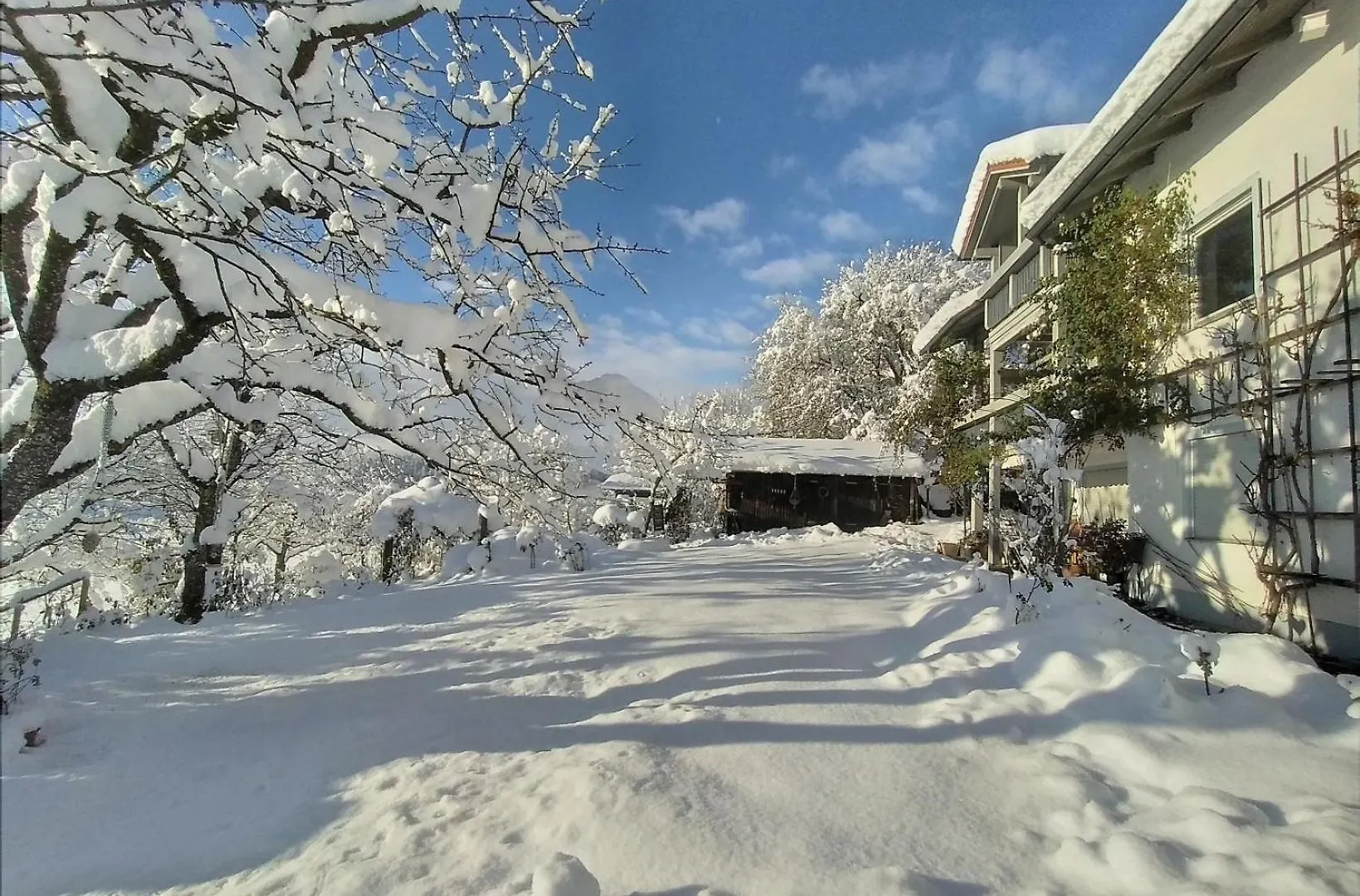5 Sterne Ferienwohnung Alpenblick Nur Fuer Urlaubsgaeste Fursteneck Apartment
